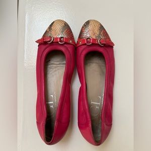 AGL Monika Fuscia Ballet Flat